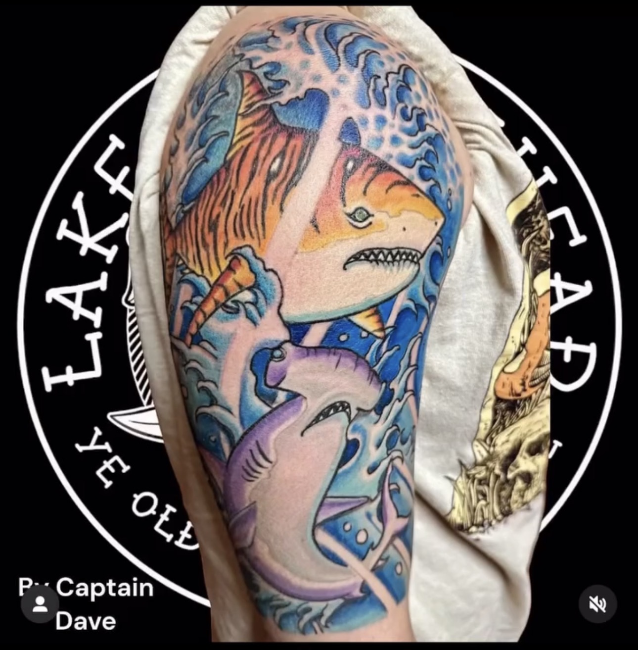 shark tattoo